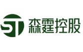 山东森霆控股有限公司